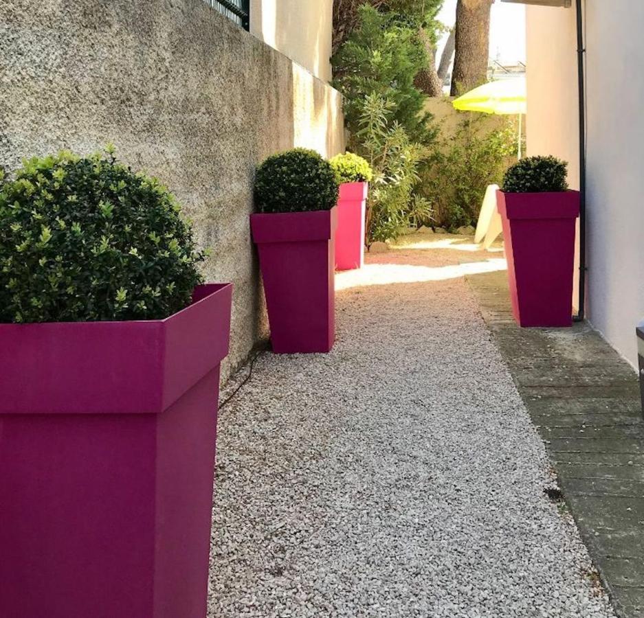 Villa Du Golfe - Studio Saint Jean La Ciotat Bagian luar foto